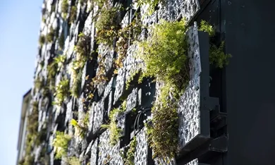 崎村グループ建築物